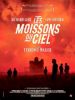 moissonsciel2.jpg