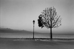 cc7.jpg, mar. 2010 cc7.jpg