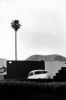eeHollywoodCalifornia.jpg, mar. 2010 eeHollywoodCalifornia.jpg