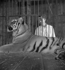 kubrick2_1948.jpg